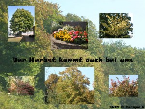 Herbst