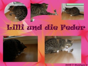 Lilli-und-die-Feder