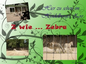 Z wie ... Zebra