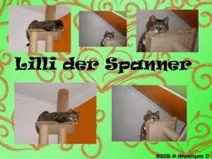 Lilli-der-Spanner