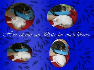 Mein-Platz Mein-Platz