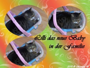 Lilli-das-Baby 