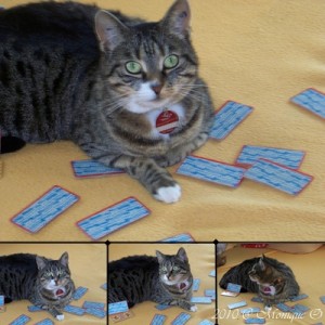 Lilli will auch mit spielen