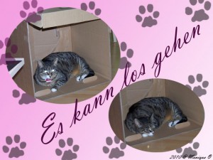 es-kann-los-gehen